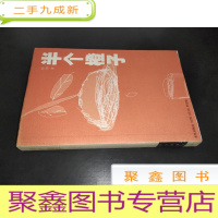 正 九成新半个橙子