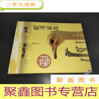 正 九成新鸵鸟家族
