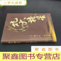 正 九成新抗大将星