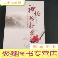 正 九成新神秘的壮乡