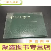 正 九成新素食纵横谈