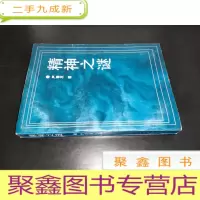 正 九成新精神之谜:全息精神学
