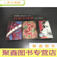 正 九成新文化全息论