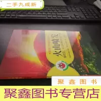 正 九成新德国青少年科普经典丛书·火山喷发:熔岩流、火山灰雨和火山的力量