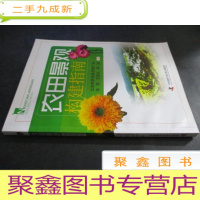 正 九成新农田景观构建指南