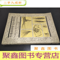 正 九成新生物多样性与小麦改良