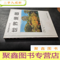 正 九成新世界园林 建筑与景观丛书: 世界景园