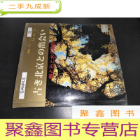 正 九成新古き北京との出会い :树と石と水の物语