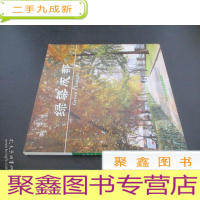 正 九成新绿染成都