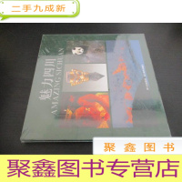 正 九成新魅力四川 : 汉英对照