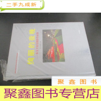 正 九成新绚丽的夜晚 朱金平夜景摄影作品集