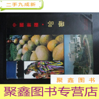 正 九成新中国新疆.哈密[画册]大16开