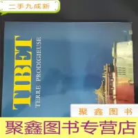 正 九成新TIBET TERRE PRODIGIEUSE 西藏----神奇的地方[法文版]
