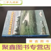 正 九成新海洋河口湿地生物多样性