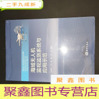 正 九成新海域无人机监视监测系统与应用示范