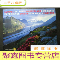 正 九成新SCHWEIZ ERLEBNIS SWITZERLAND EXPERIENCE EXPERIENCE SUI