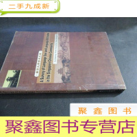 正 九成新新加坡华社语言调查 英文