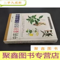 正 九成新中药鉴别炮制应用手册