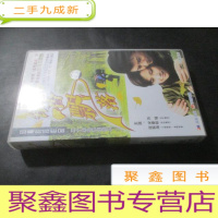 正 九成新知青影视作品 30集电视连续剧:银杏飘落[24碟装VCD]