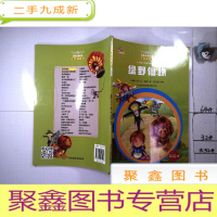 正 九成新绿野仙踪 彩绘本