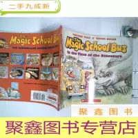 正 九成新The Magic School Bus: In the Time of the Dinosaurs 神奇校