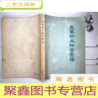 正 九成新主要树木种苗图谱