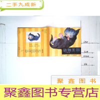 正 九成新动物王国—小猫咪