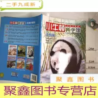 正 九成新小牛顿科学馆:大熊猫(全新升级版)