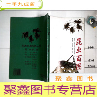 正 九成新昆虫百图
