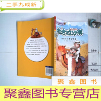 正 九成新撒哈拉沙漠:阳光下的黄金宝库