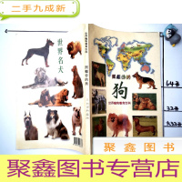 正 九成新世界宠物百科 照顾你的狗