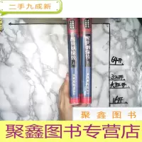 正 九成新醒世姻缘传(上下册)