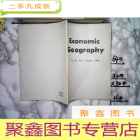 正 九成新Economic Geography经济地理学