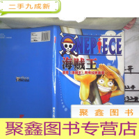 正 九成新海贼王 2008跨年度 全新画册 囊括海贼王所有经典画面 娱乐工坊出品