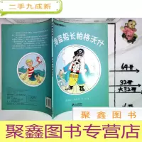 正 九成新海盗船长帕格沃什