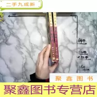 正 九成新流星蝴蝶剑 上下合售