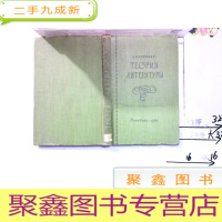 正 九成新文学理论(初级课程)教师手册(以图为准)外文