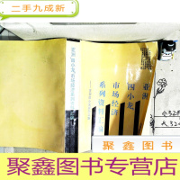 正 九成新亚洲 四小龙 市场经济系列资料汇编