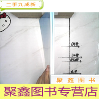 正 九成新中药制药机械与制药工艺 上下合售