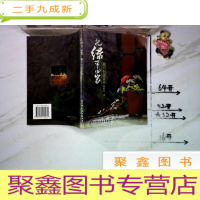 正 九成新把绿带回家:随兴小品盆栽