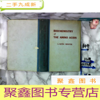 正 九成新BIOCHEMISTRY of THE AMINO ACIDS (氨基酸的生物化学) 外文