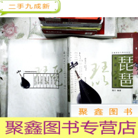 正 九成新乐器演奏与教学系列 琵琶
