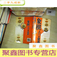 正 九成新象棋入门与提高 ....