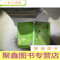 正 九成新当下的力量新版