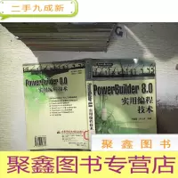 正 九成新PowerBuilder 8.0实用编程技术