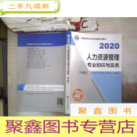 正 九成新备考2021经济师中级 人力资源管理专业知识与实务(中级)2020