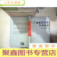 正 九成新广东省青少年发展报告.