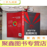 正 九成新房地产开发前期策划