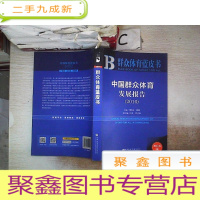 正 九成新中国群众体育发展报告(2016)/群众体育蓝皮书