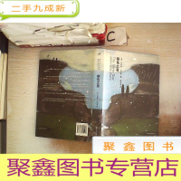 正 九成新银色之星